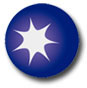 Blueberry Logo